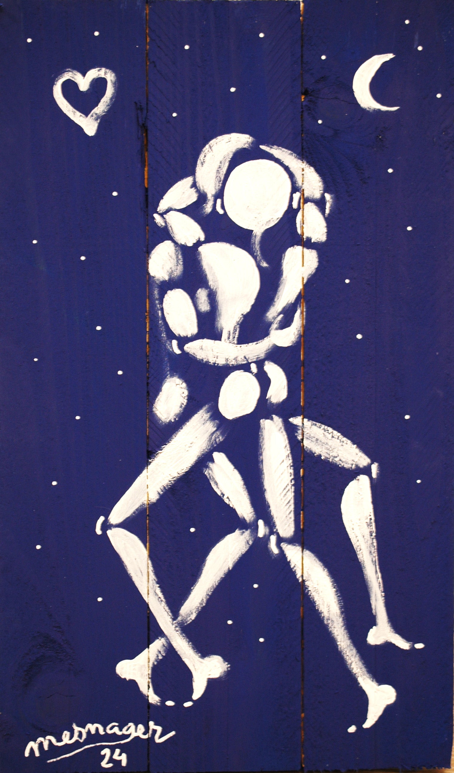 Nuit Etoilée, 2024